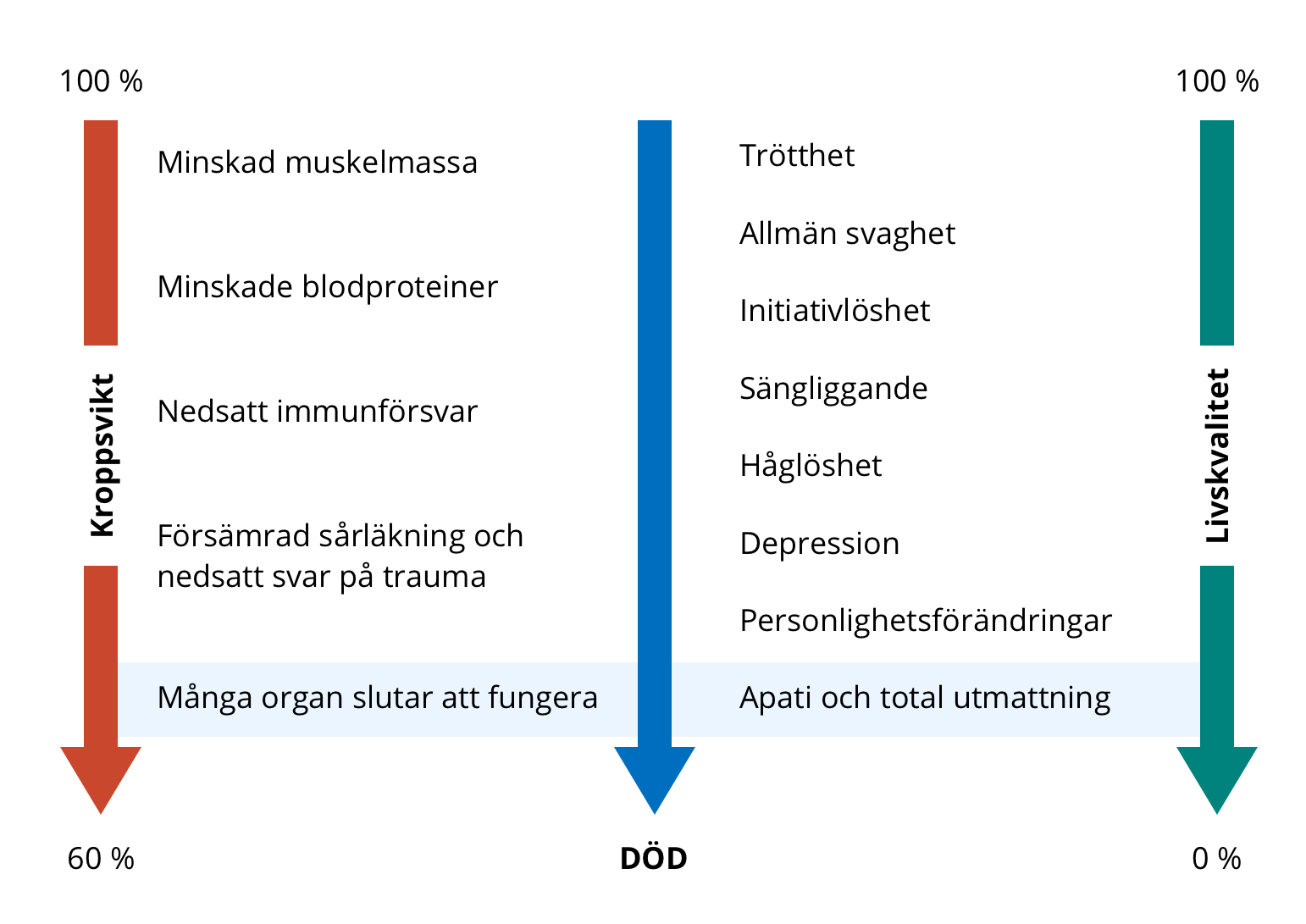 Vad händer vid viktnedgång?